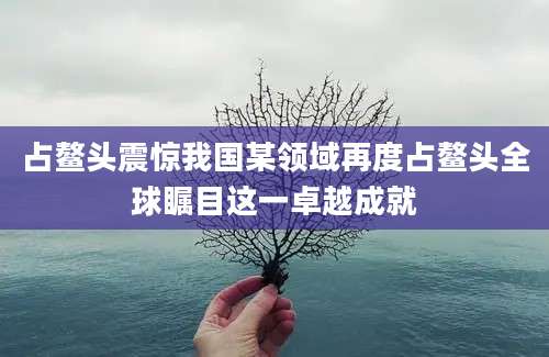 占鳌头震惊我国某领域再度占鳌头全球瞩目这一卓越成就