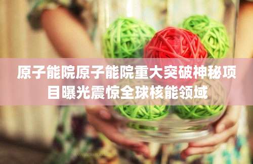 原子能院原子能院重大突破神秘项目曝光震惊全球核能领域