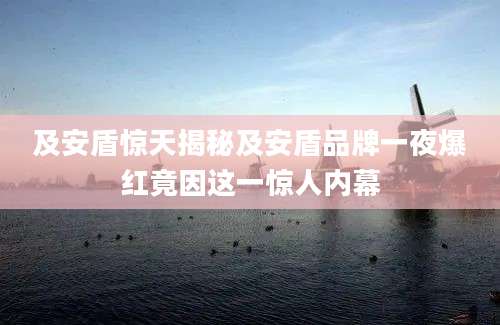 及安盾惊天揭秘及安盾品牌一夜爆红竟因这一惊人内幕