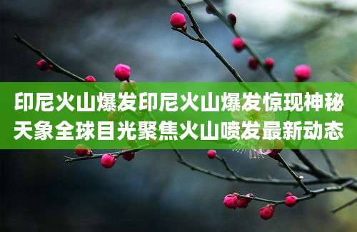 印尼火山爆发印尼火山爆发惊现神秘天象全球目光聚焦火山喷发最新动态