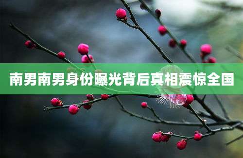 南男南男身份曝光背后真相震惊全国