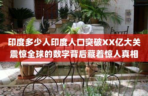 印度多少人印度人口突破XX亿大关震惊全球的数字背后藏着惊人真相