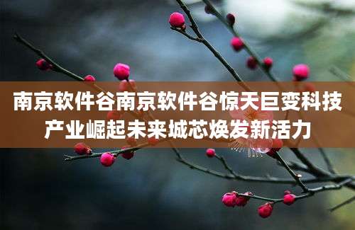 南京软件谷南京软件谷惊天巨变科技产业崛起未来城芯焕发新活力