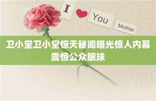 卫小堂卫小堂惊天秘闻曝光惊人内幕震惊公众眼球
