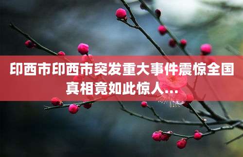 印西市印西市突发重大事件震惊全国真相竟如此惊人...