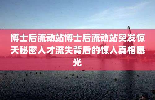 博士后流动站博士后流动站突发惊天秘密人才流失背后的惊人真相曝光
