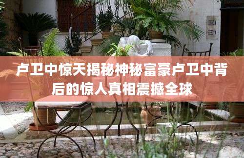 卢卫中惊天揭秘神秘富豪卢卫中背后的惊人真相震撼全球