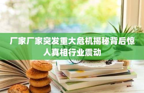 厂家厂家突发重大危机揭秘背后惊人真相行业震动