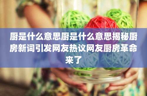 厨是什么意思厨是什么意思揭秘厨房新词引发网友热议网友厨房革命来了
