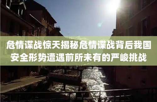 危情谍战惊天揭秘危情谍战背后我国安全形势遭遇前所未有的严峻挑战