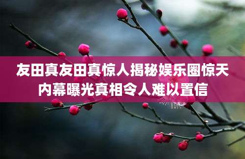 友田真友田真惊人揭秘娱乐圈惊天内幕曝光真相令人难以置信