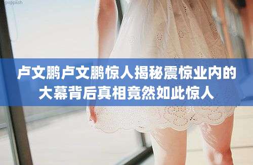 卢文鹏卢文鹏惊人揭秘震惊业内的大幕背后真相竟然如此惊人