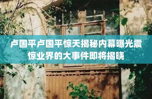 卢国平卢国平惊天揭秘内幕曝光震惊业界的大事件即将揭晓