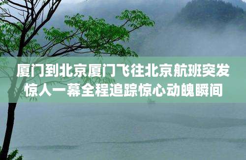 厦门到北京厦门飞往北京航班突发惊人一幕全程追踪惊心动魄瞬间