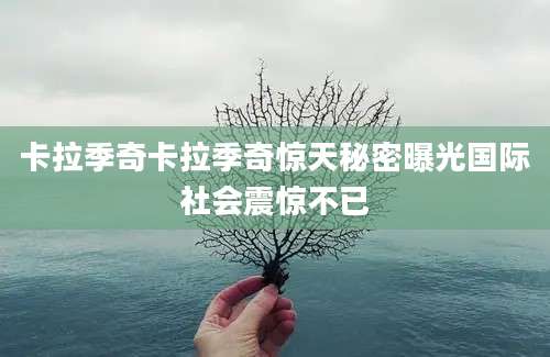 卡拉季奇卡拉季奇惊天秘密曝光国际社会震惊不已