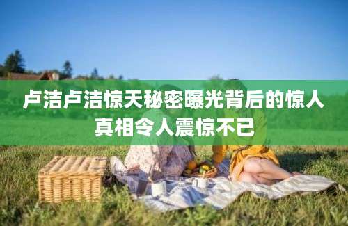卢洁卢洁惊天秘密曝光背后的惊人真相令人震惊不已