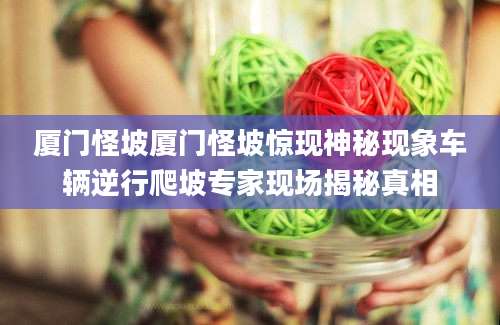 厦门怪坡厦门怪坡惊现神秘现象车辆逆行爬坡专家现场揭秘真相