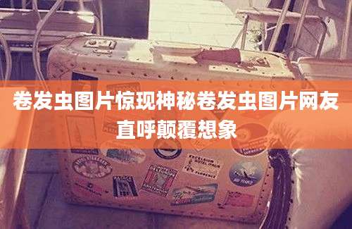 卷发虫图片惊现神秘卷发虫图片网友直呼颠覆想象
