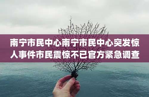 南宁市民中心南宁市民中心突发惊人事件市民震惊不已官方紧急调查