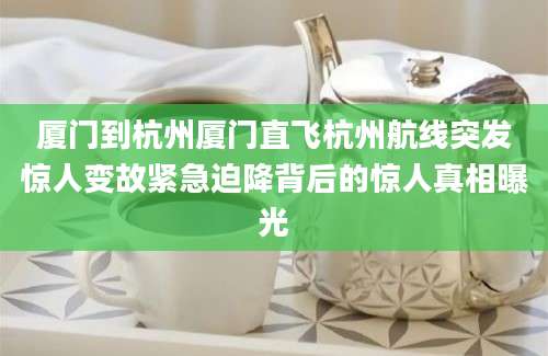 厦门到杭州厦门直飞杭州航线突发惊人变故紧急迫降背后的惊人真相曝光