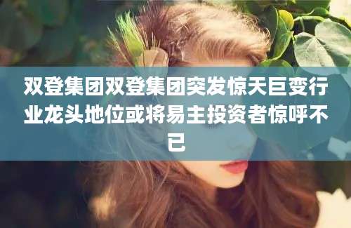 双登集团双登集团突发惊天巨变行业龙头地位或将易主投资者惊呼不已