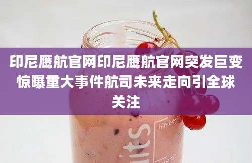 印尼鹰航官网印尼鹰航官网突发巨变惊曝重大事件航司未来走向引全球关注