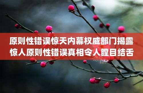 原则性错误惊天内幕权威部门揭露惊人原则性错误真相令人瞠目结舌