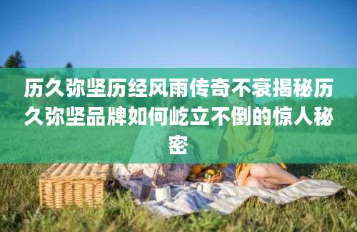 历久弥坚历经风雨传奇不衰揭秘历久弥坚品牌如何屹立不倒的惊人秘密