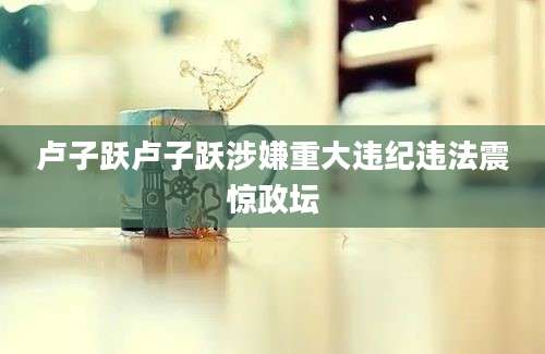 卢子跃卢子跃涉嫌重大违纪违法震惊政坛
