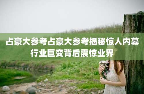 占豪大参考占豪大参考揭秘惊人内幕行业巨变背后震惊业界