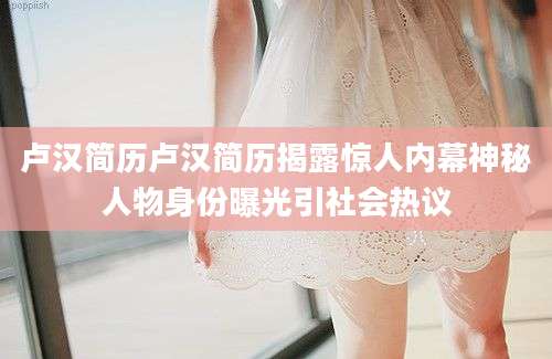 卢汉简历卢汉简历揭露惊人内幕神秘人物身份曝光引社会热议