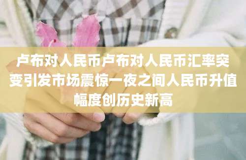 卢布对人民币卢布对人民币汇率突变引发市场震惊一夜之间人民币升值幅度创历史新高
