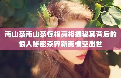 南山茶南山茶惊艳亮相揭秘其背后的惊人秘密茶界新贵横空出世