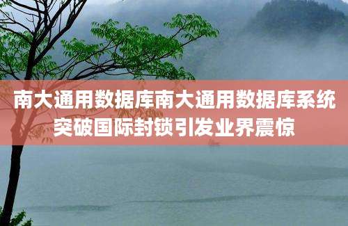 南大通用数据库南大通用数据库系统突破国际封锁引发业界震惊
