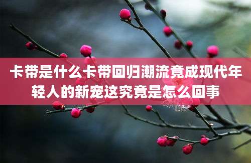 卡带是什么卡带回归潮流竟成现代年轻人的新宠这究竟是怎么回事