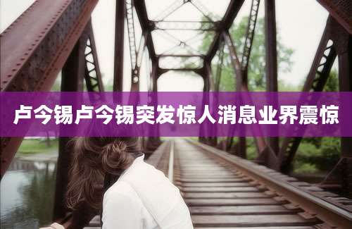 卢今锡卢今锡突发惊人消息业界震惊