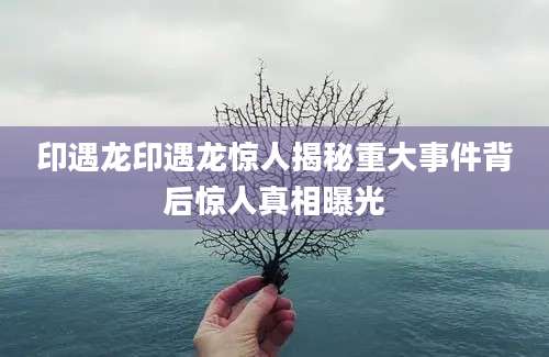 印遇龙印遇龙惊人揭秘重大事件背后惊人真相曝光
