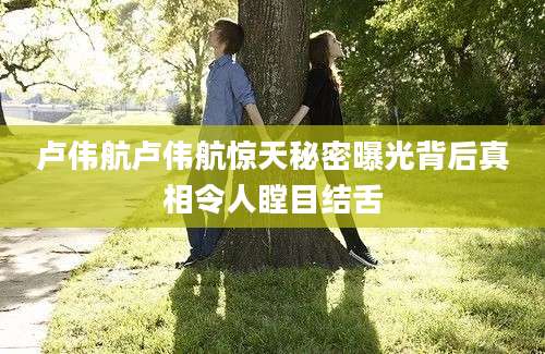 卢伟航卢伟航惊天秘密曝光背后真相令人瞠目结舌