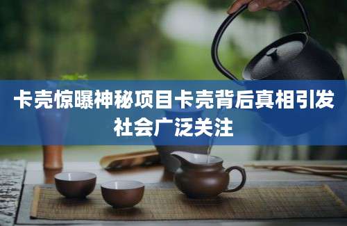 卡壳惊曝神秘项目卡壳背后真相引发社会广泛关注