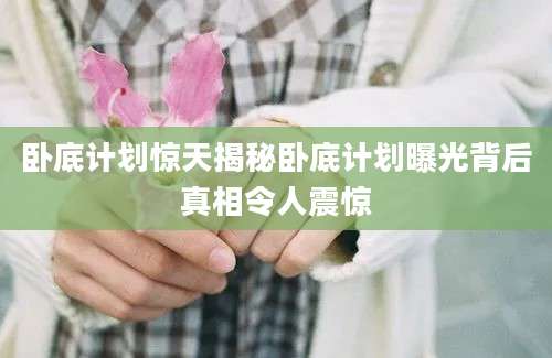 卧底计划惊天揭秘卧底计划曝光背后真相令人震惊
