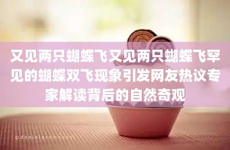 又见两只蝴蝶飞又见两只蝴蝶飞罕见的蝴蝶双飞现象引发网友热议专家解读背后的自然奇观
