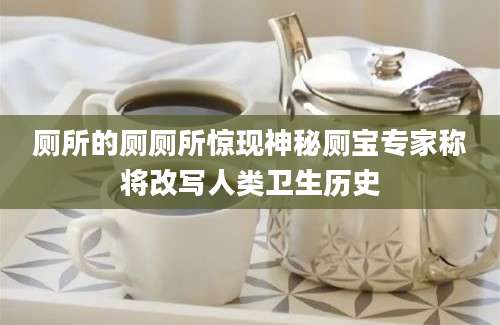 厕所的厕厕所惊现神秘厕宝专家称将改写人类卫生历史