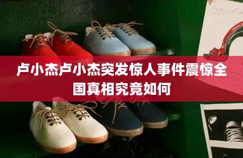 卢小杰卢小杰突发惊人事件震惊全国真相究竟如何