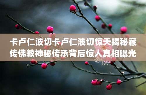 卡卢仁波切卡卢仁波切惊天揭秘藏传佛教神秘传承背后惊人真相曝光