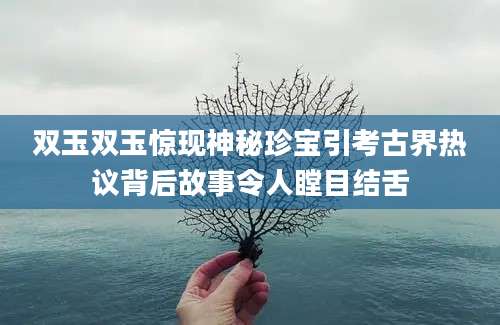 双玉双玉惊现神秘珍宝引考古界热议背后故事令人瞠目结舌