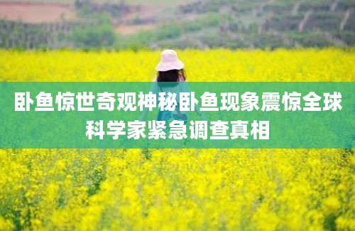 卧鱼惊世奇观神秘卧鱼现象震惊全球科学家紧急调查真相