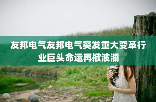 友邦电气友邦电气突发重大变革行业巨头命运再掀波澜