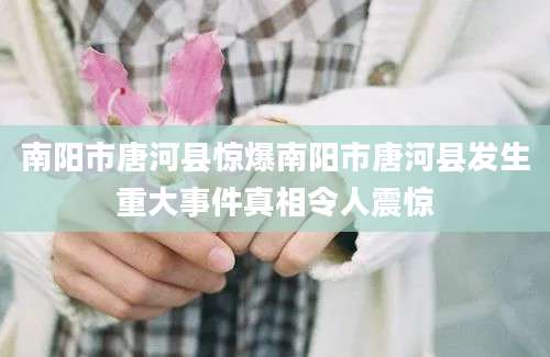 南阳市唐河县惊爆南阳市唐河县发生重大事件真相令人震惊