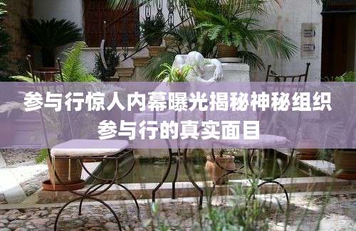 参与行惊人内幕曝光揭秘神秘组织参与行的真实面目