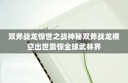 双斧战龙惊世之战神秘双斧战龙横空出世震惊全球武林界